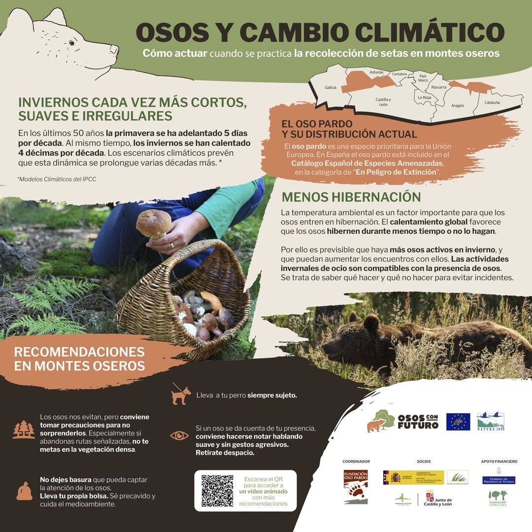 2. INFOGRAFIA SETEROS