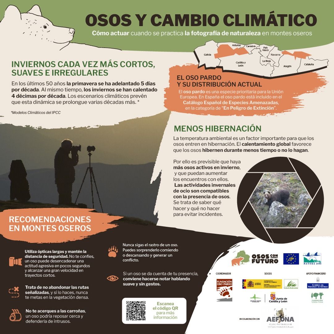 3. INFOGRAFIA FOTOGRAFOS